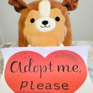 Squishmallow Dog Plush